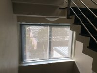IMG 2625